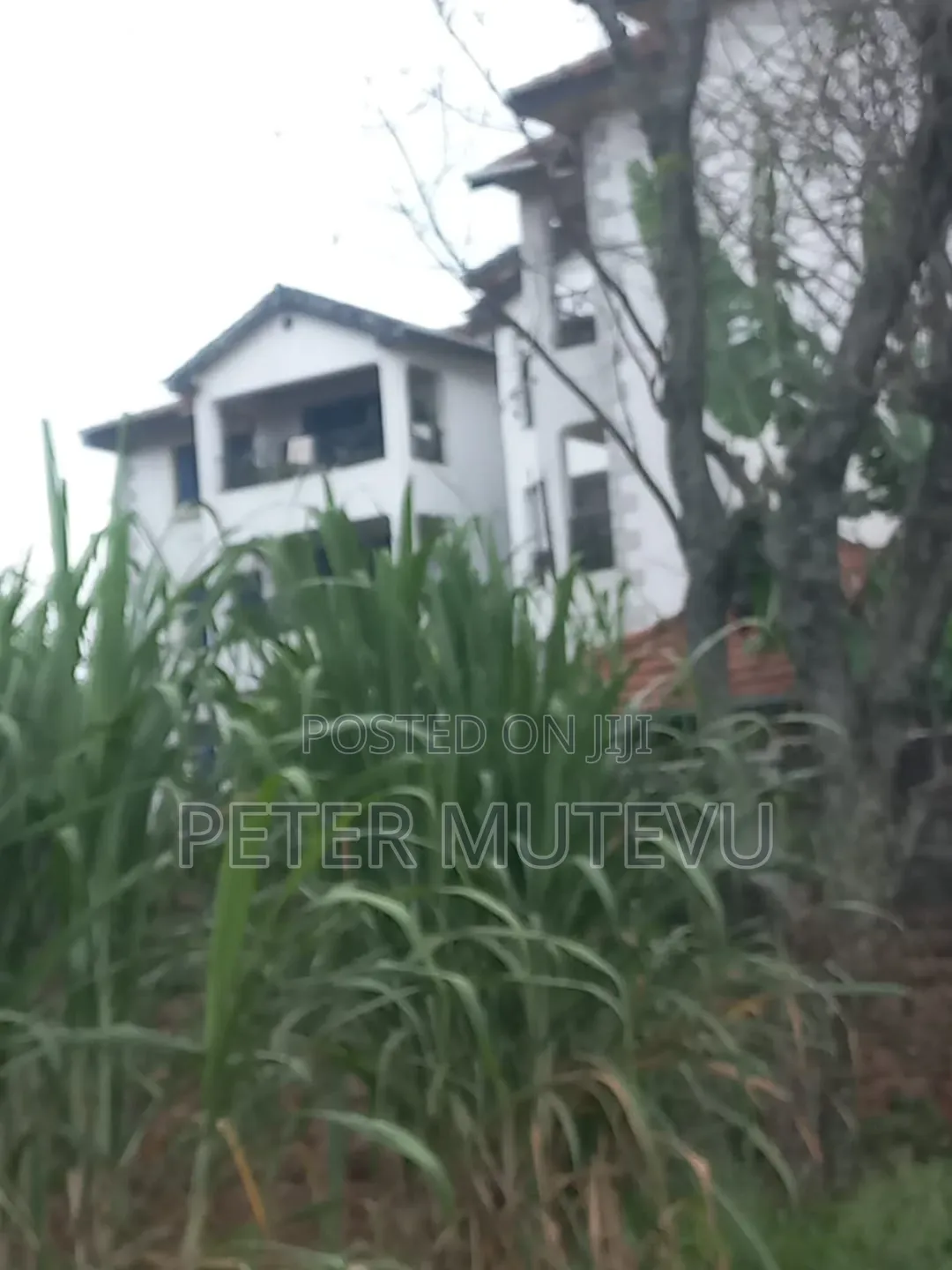 3 Pieces of Half Acre Land for Sale in Ngando