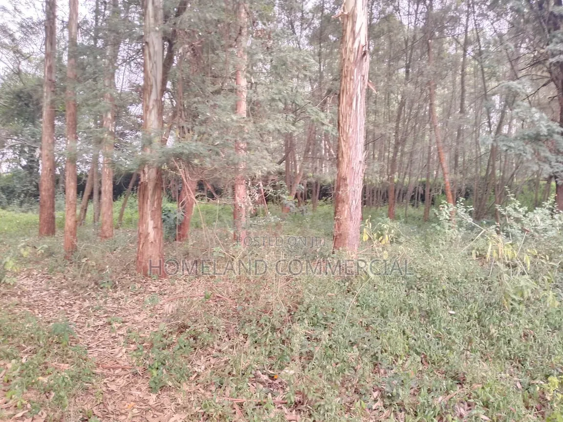 Land for Sale in Hardy