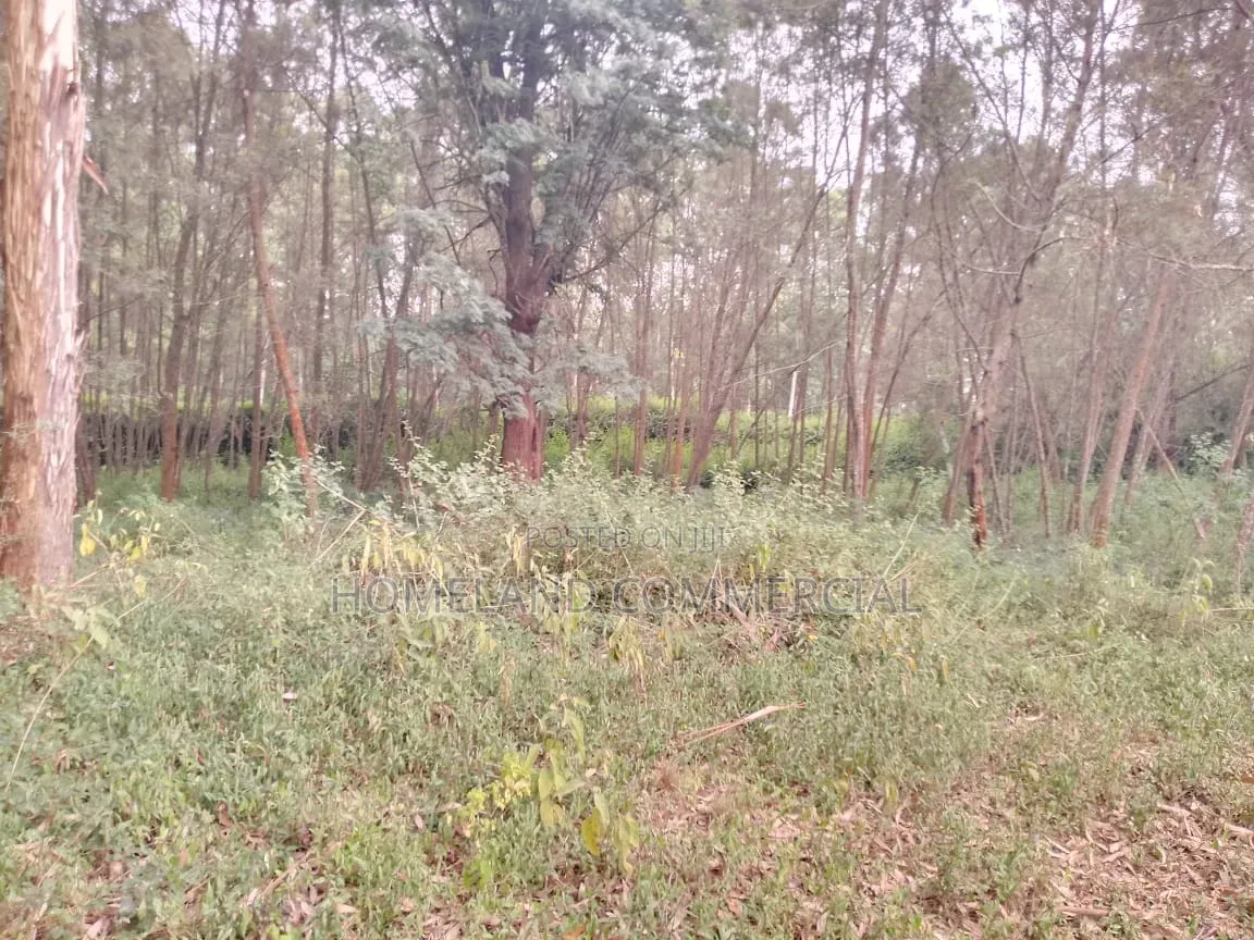 Land for Sale in Hardy