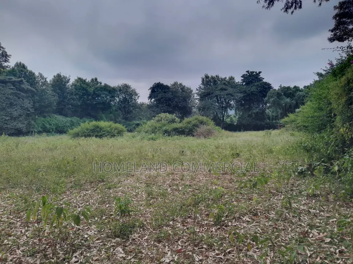 Land for Sale in Hardy