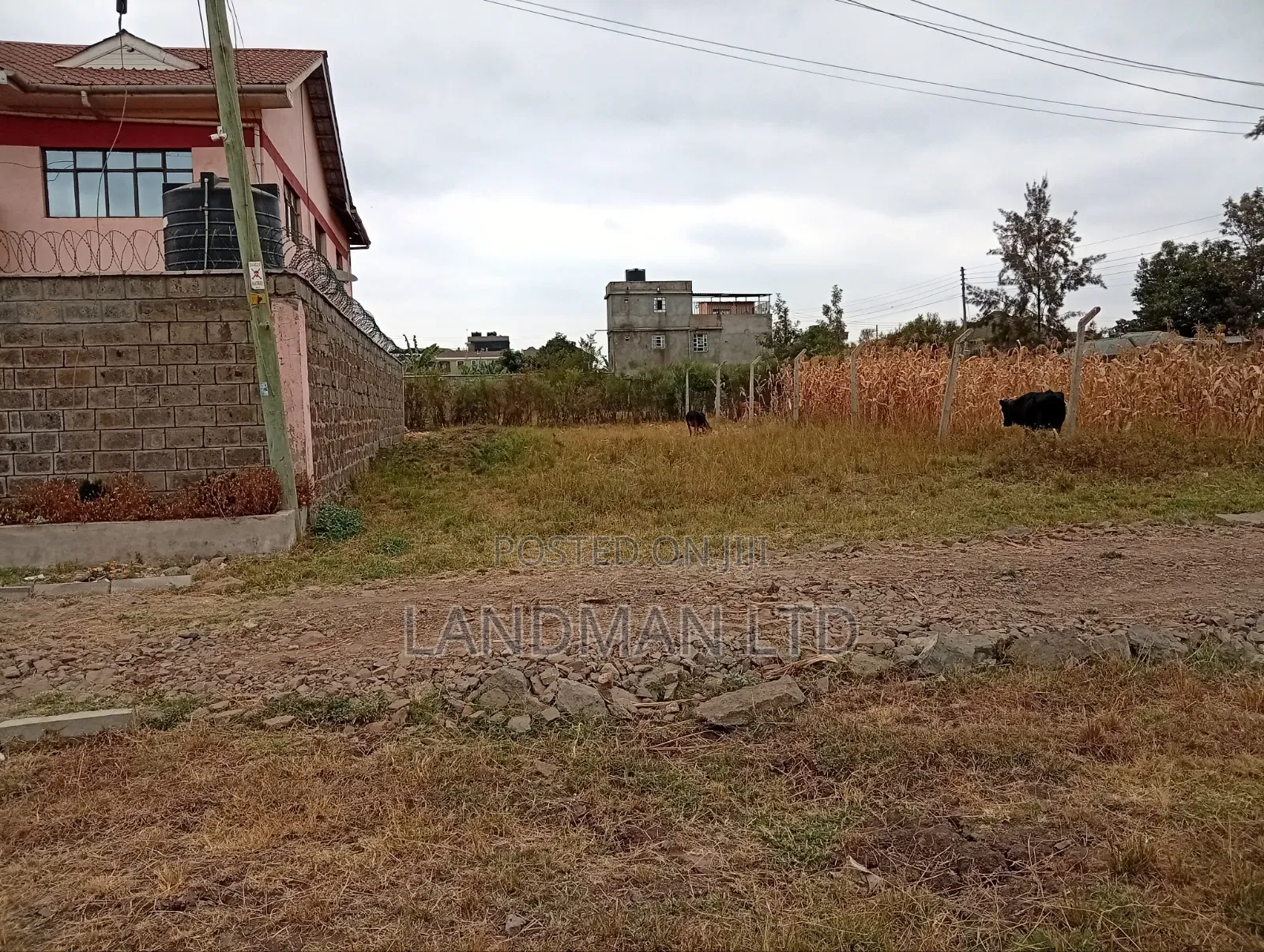Prime Plot for Sale – Ruiru Kamakis in Kamakis