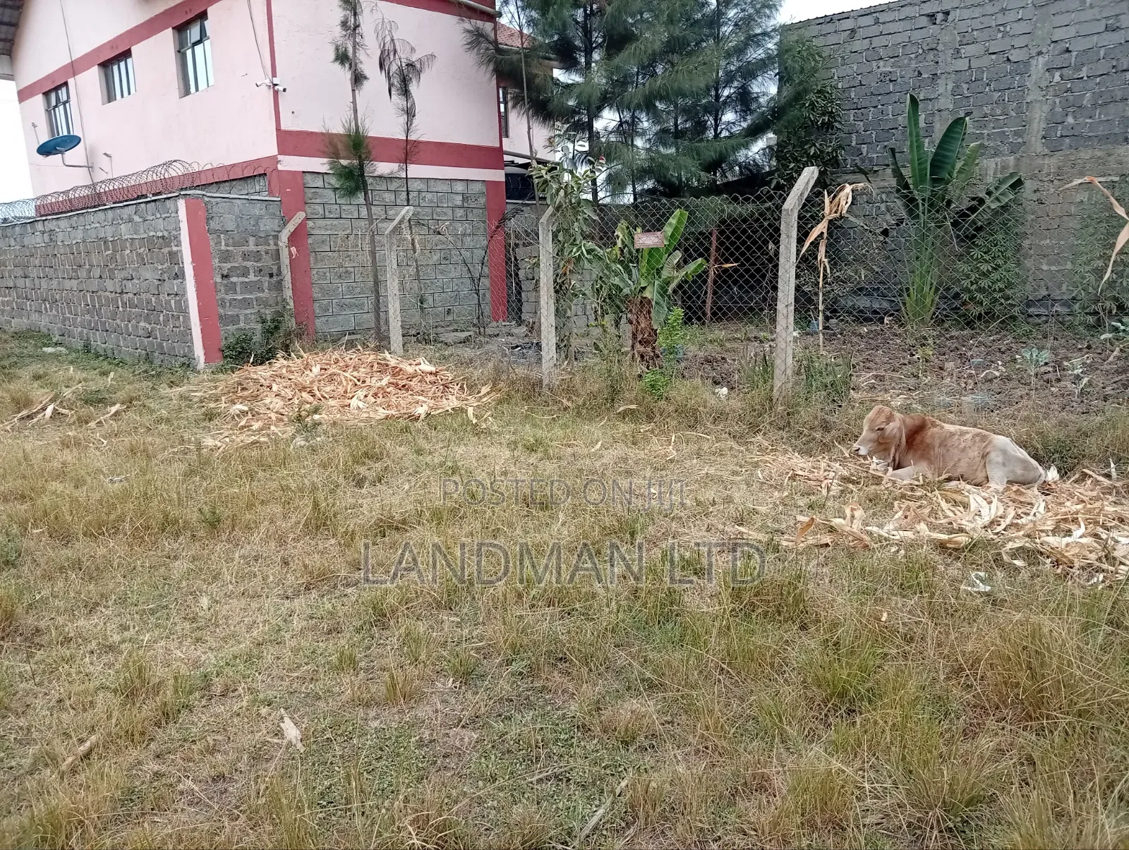 Prime Plot for Sale – Ruiru Kamakis in Kamakis