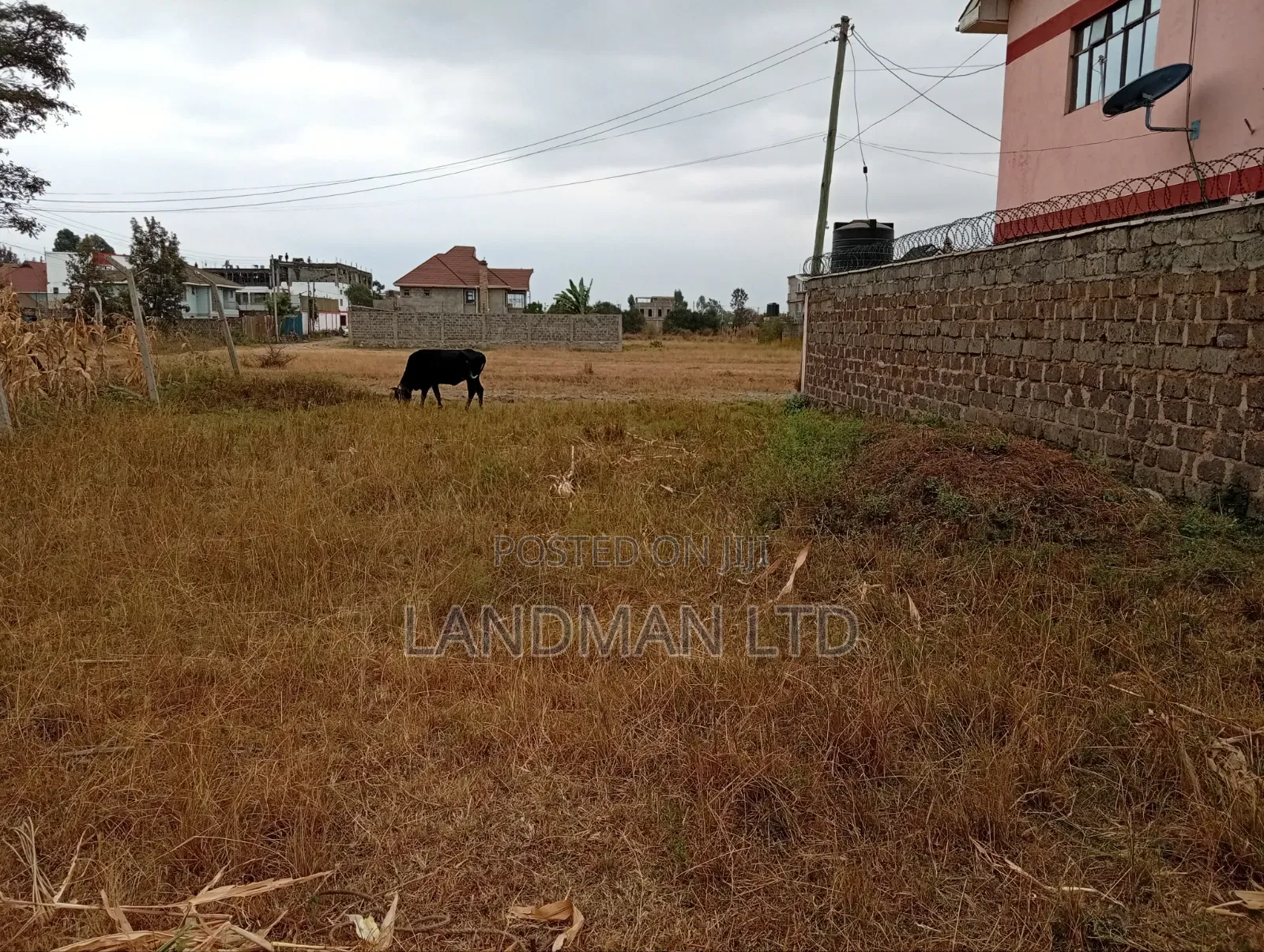 Prime Plot for Sale – Ruiru Kamakis in Kamakis