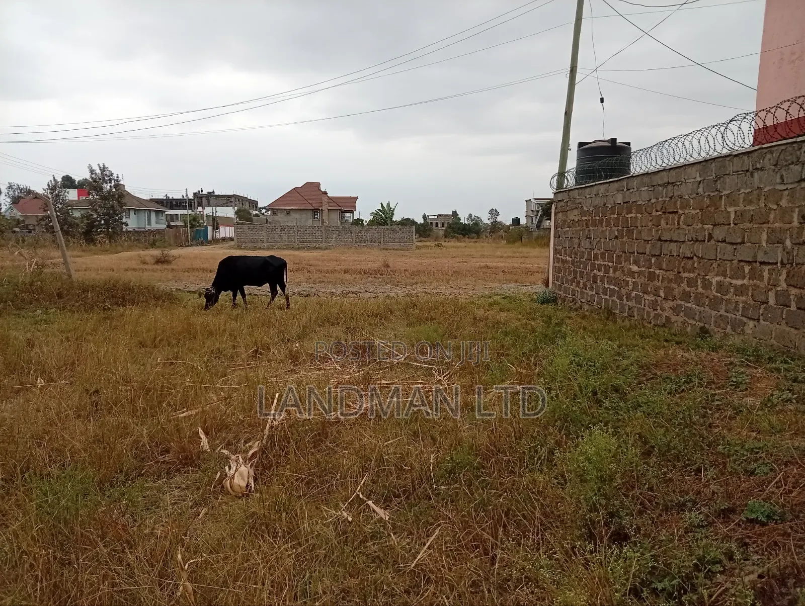 Prime Plot for Sale – Ruiru Kamakis in Kamakis