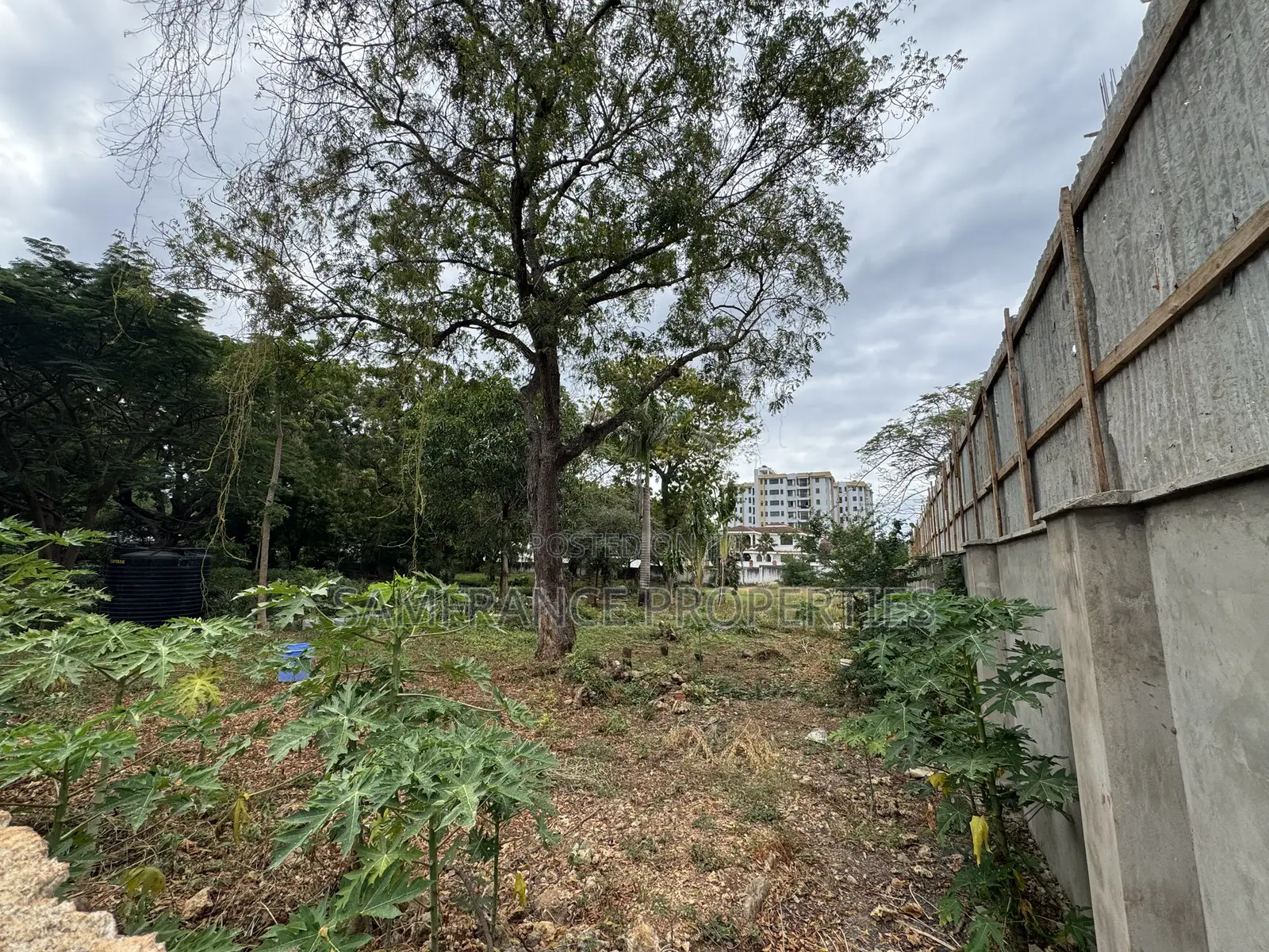 Prime 2 Acres on Sale Mama Ngina Drive Nyali in Nyali Mkomani