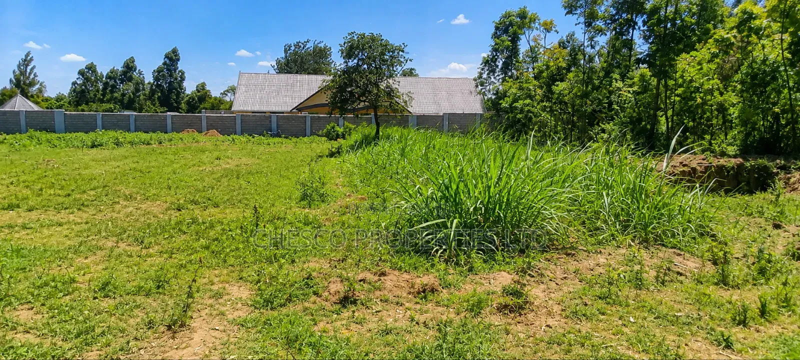 4 Plots for Sale in Makutano - Kanduyi in Makutano