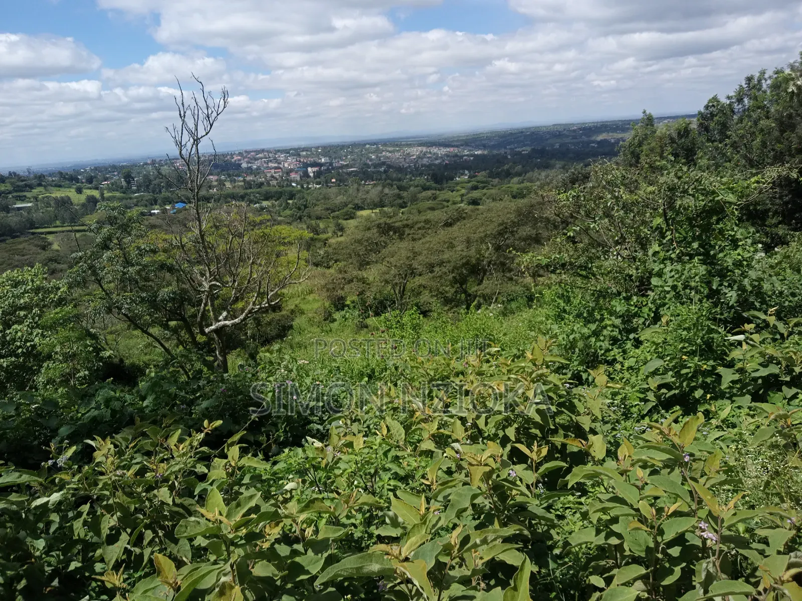 50 Acres for Sale in Athi-River Devki in Lukenya