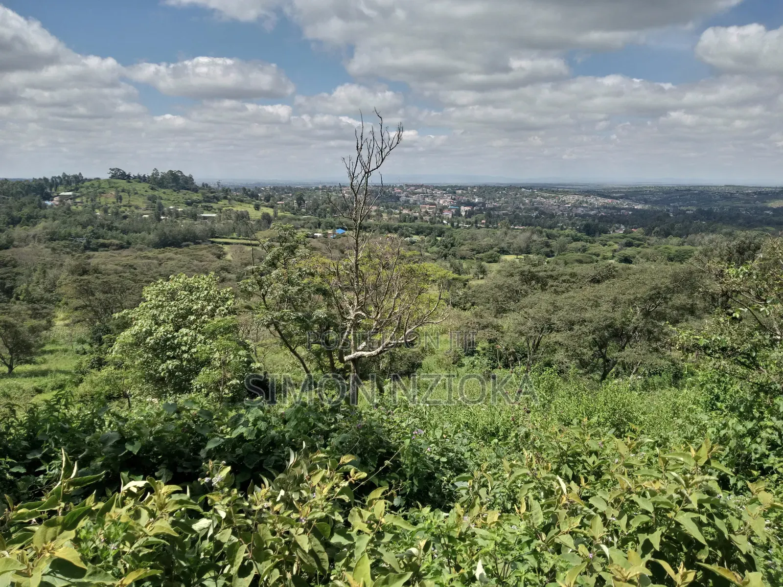 50 Acres for Sale in Athi-River Devki in Lukenya