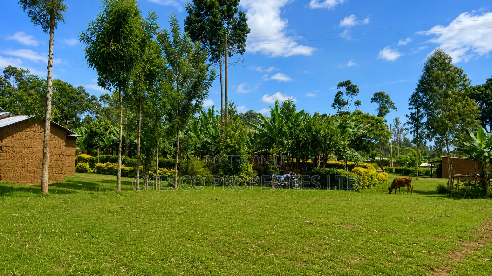 3 Plots for Sale in Ndengelwa, 100 Metres From Tarmac in Khalaba (Kanduyi)