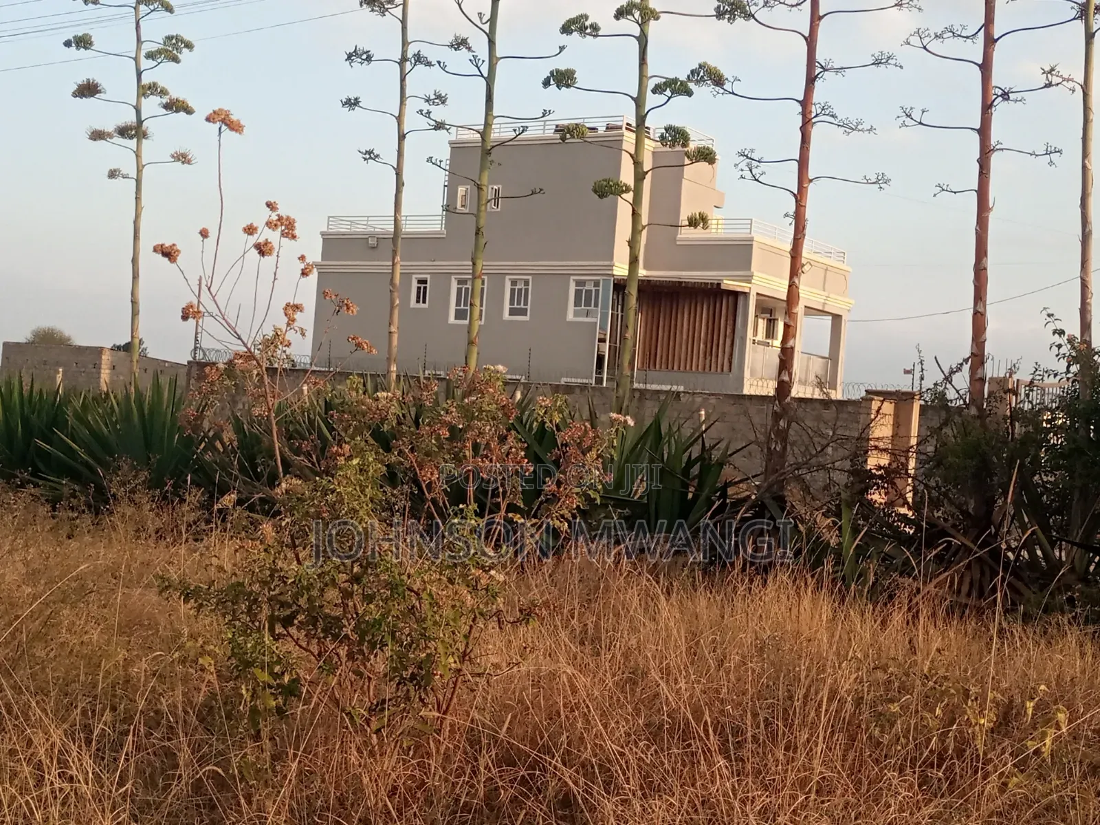 Prime Residential Plot in Jujafarm Mastoo  in Kalimoni