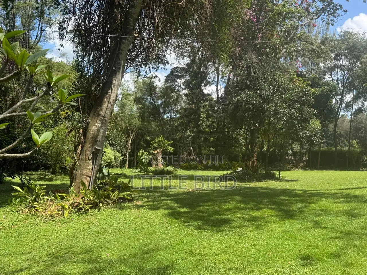 6bdrm House in Karen C for rent in Karen C