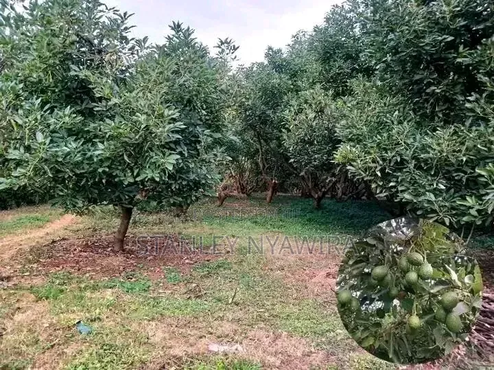 5 Acreas Muranga in Nanyuki