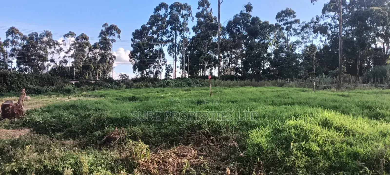 50x100 Residential Plot, Kikuyu in Kinoo
