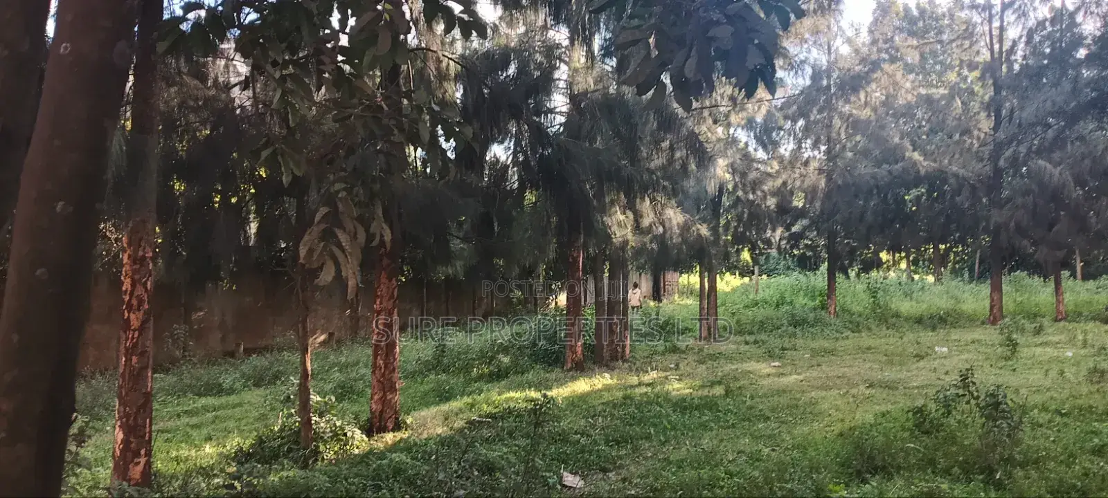 50x100 Residential Plot, Kikuyu in Kinoo