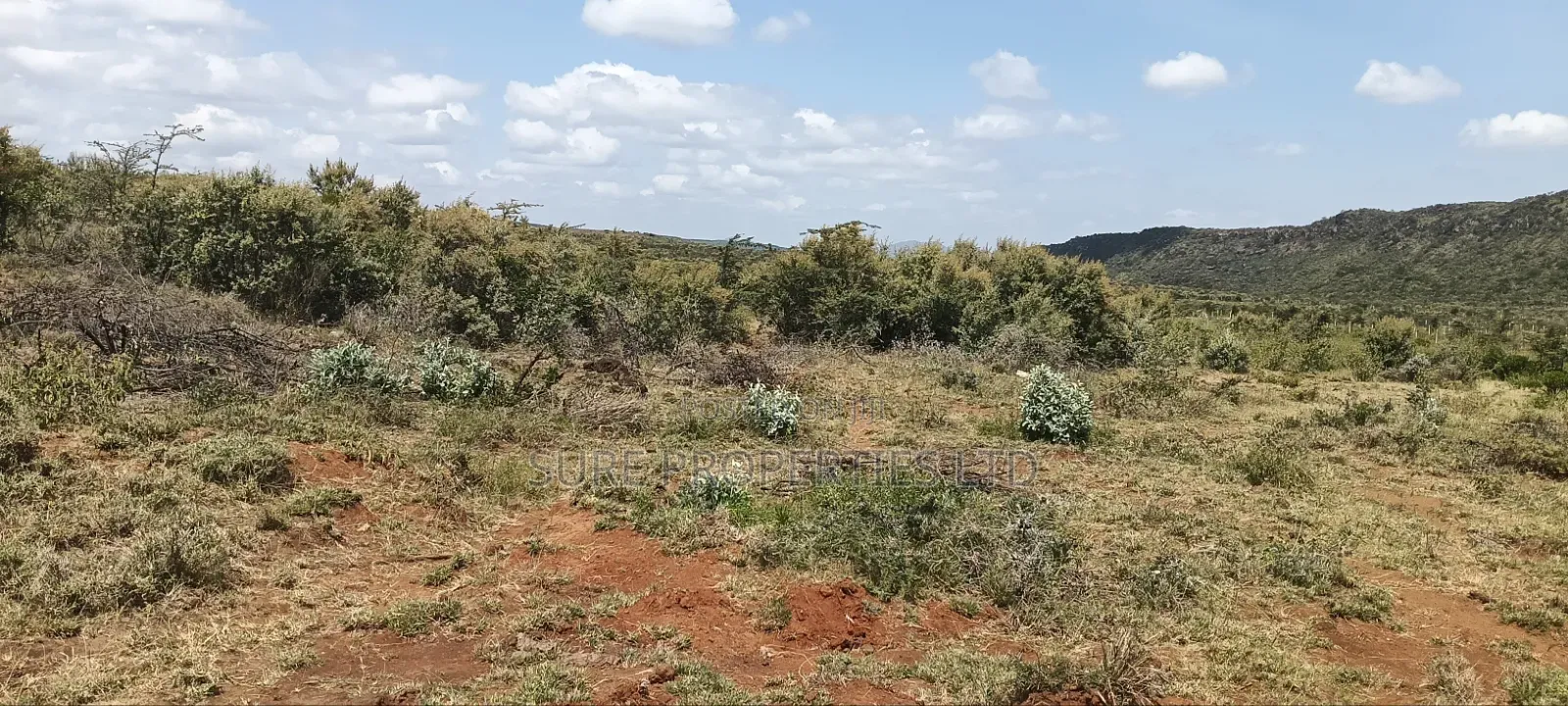 Kikuyu, Mikuyuini Nachu in Karai