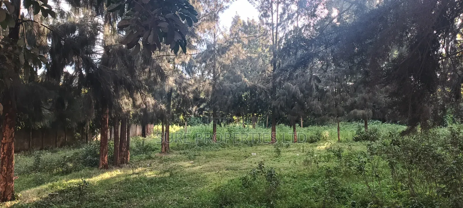 Kikuyu, Gitaru 50x100 Plot in Karai