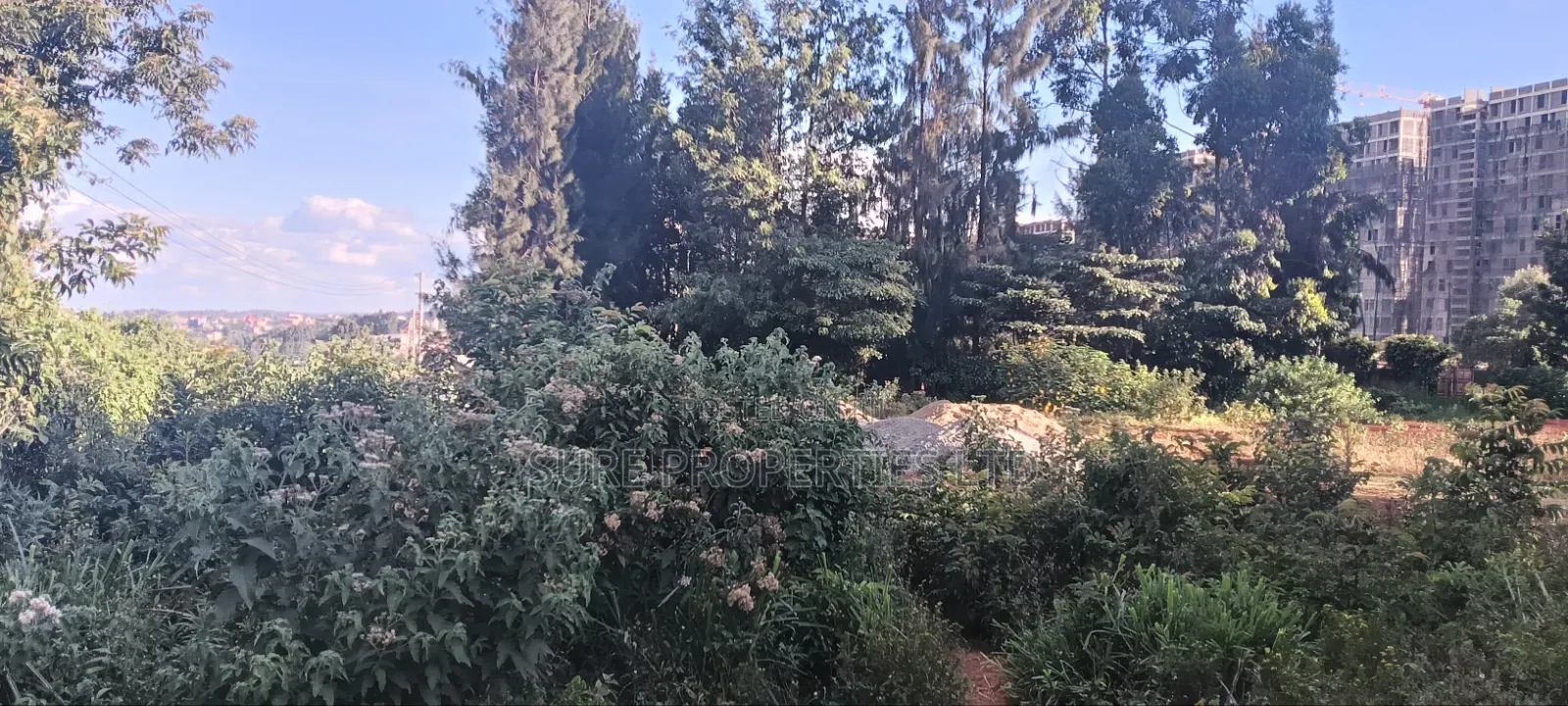 Kikuyu, Gitaru 50x100 Plot in Karai
