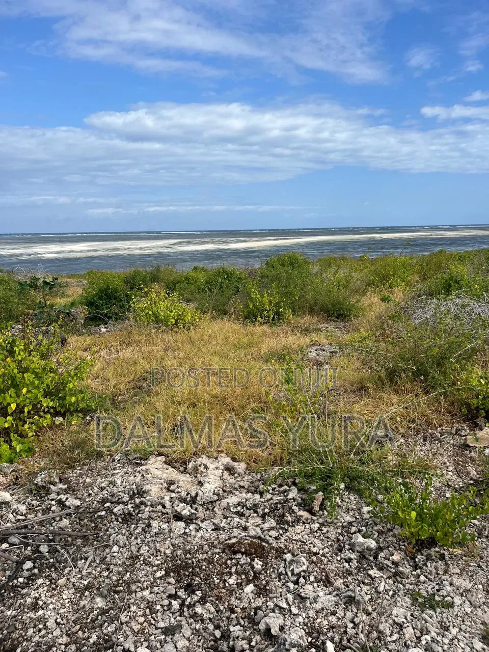 2 Acres on the Beach in Watamu in Watamu