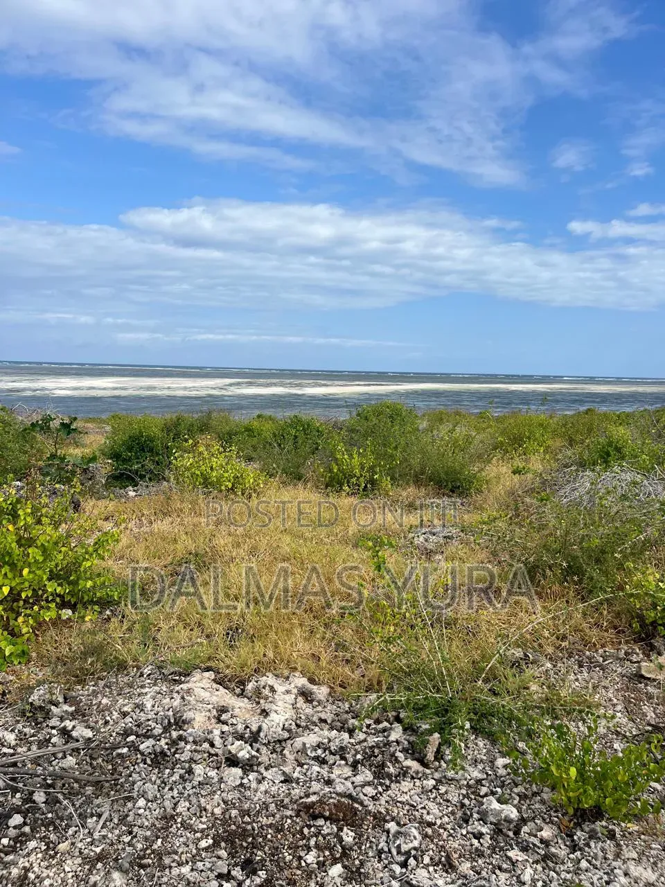2 Acres on the Beach in Watamu in Watamu