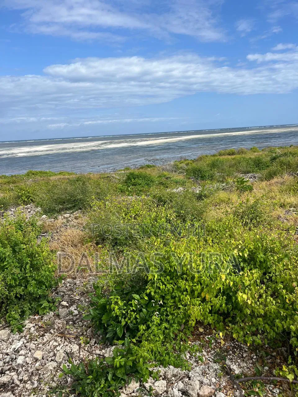 2 Acres on the Beach in Watamu in Watamu