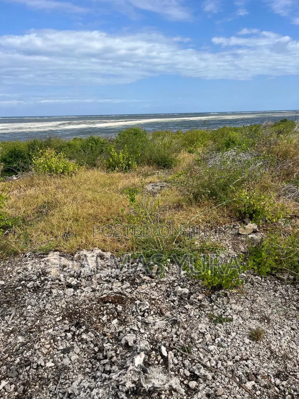 2 Acres on the Beach in Watamu in Watamu