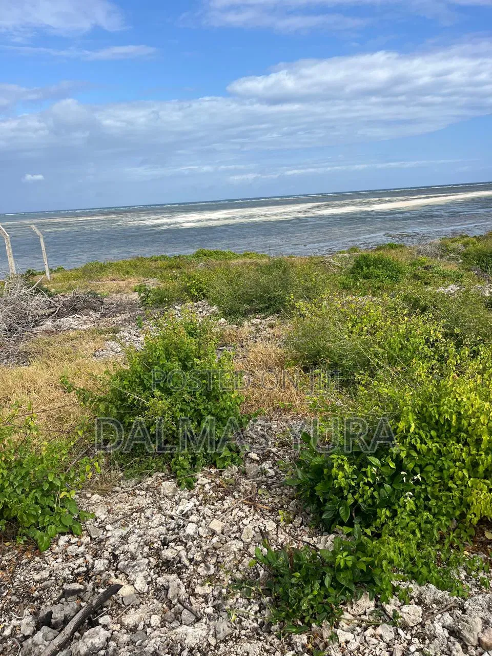 2 Acres on the Beach in Watamu in Watamu