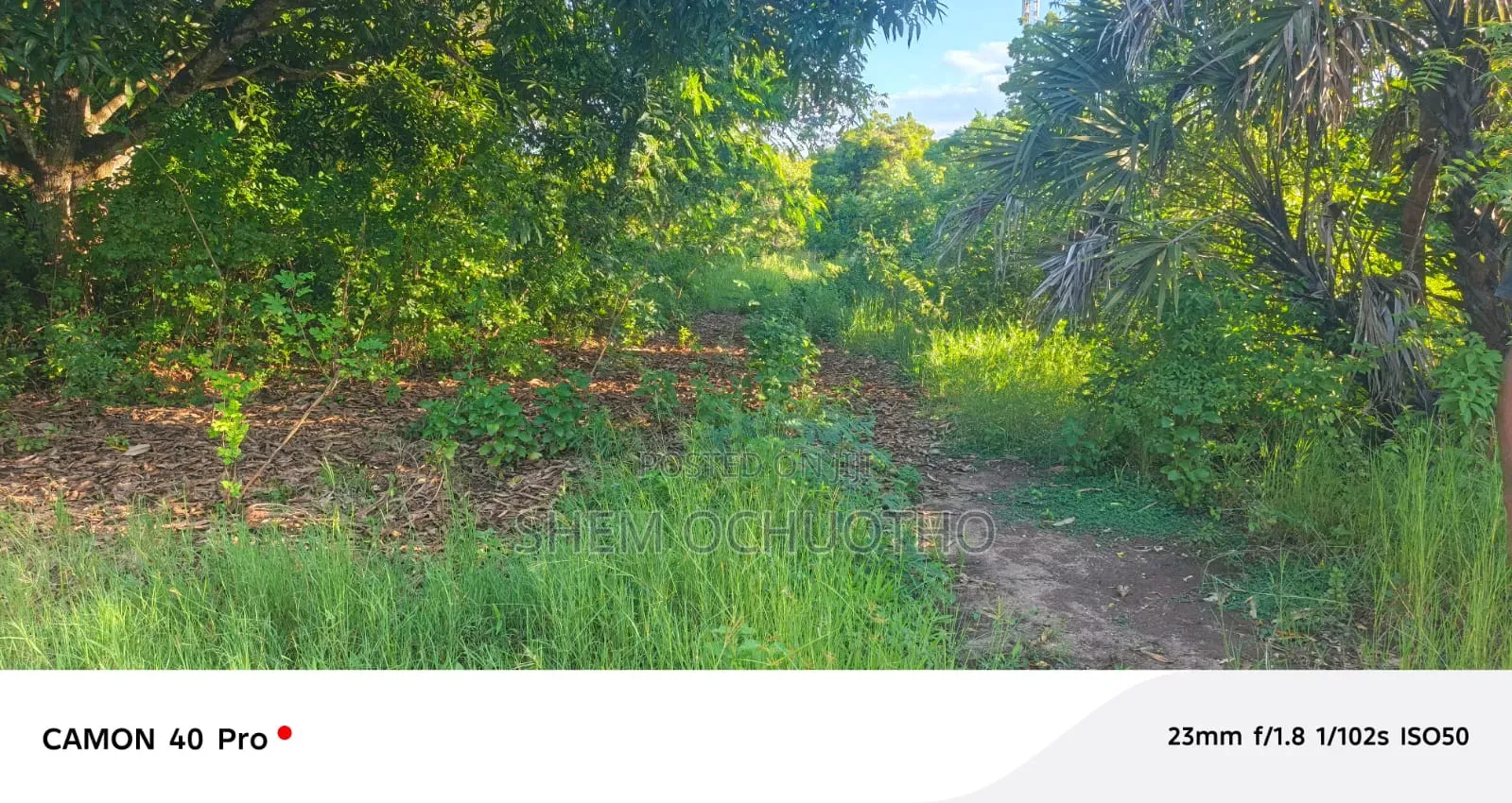 1 Acre Beach Plot for Sale in Diani Kwale County in Kerarapon