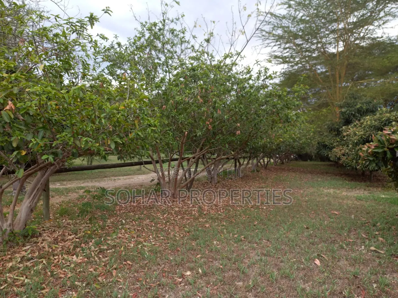 Moi South Rd, Lake Naivasha - Prime 15 Acres Available for Sale. in Naivasha