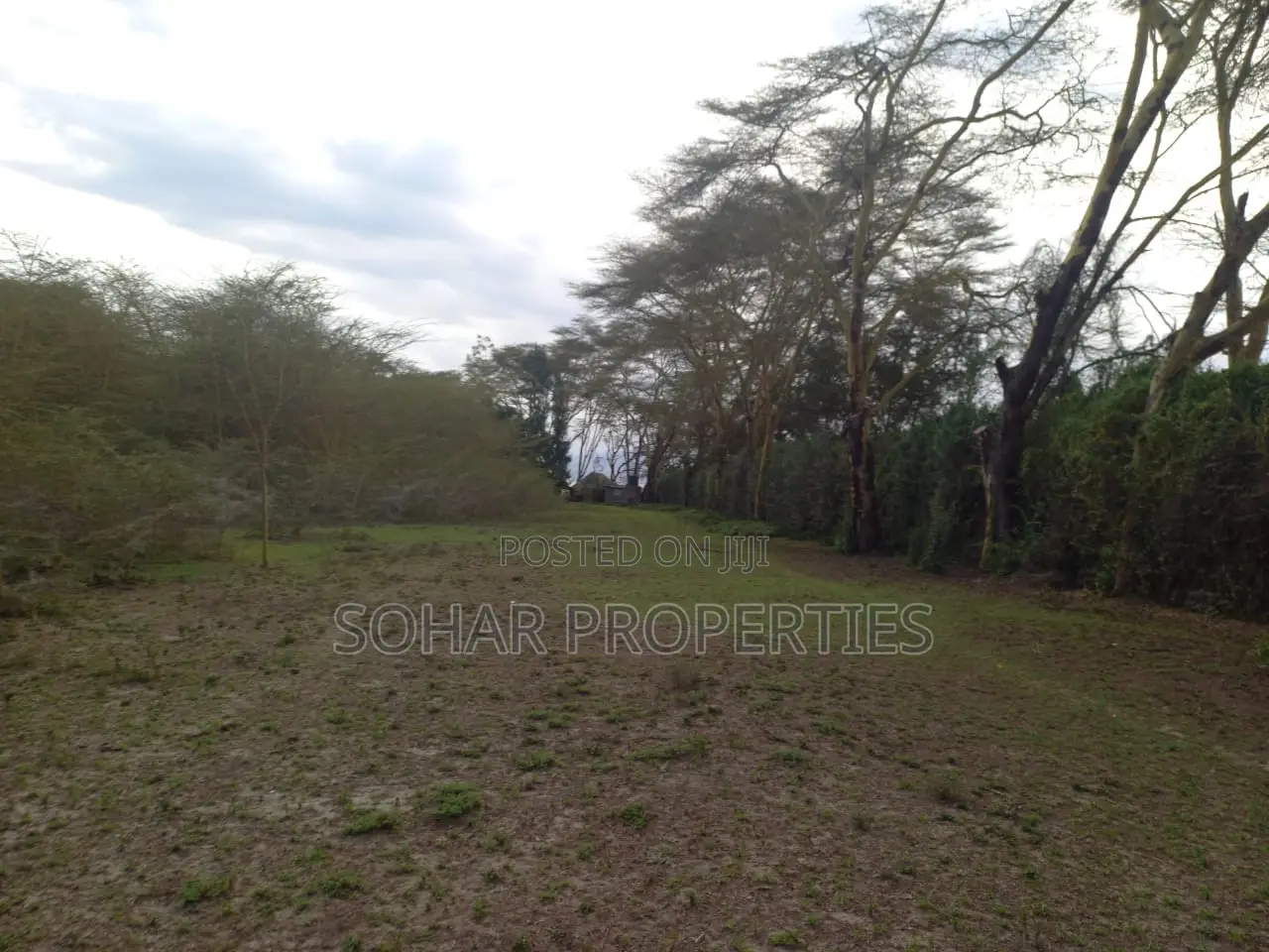 Moi South Rd, Lake Naivasha - Prime 15 Acres Available for Sale. in Naivasha