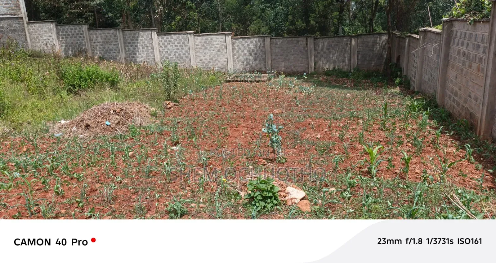 1/4 Acre Plot for Sale in Kerarapon-Ngong in Kerarapon