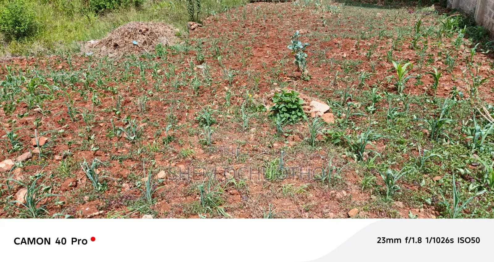 1/4 Acre Plot for Sale in Kerarapon-Ngong in Kerarapon