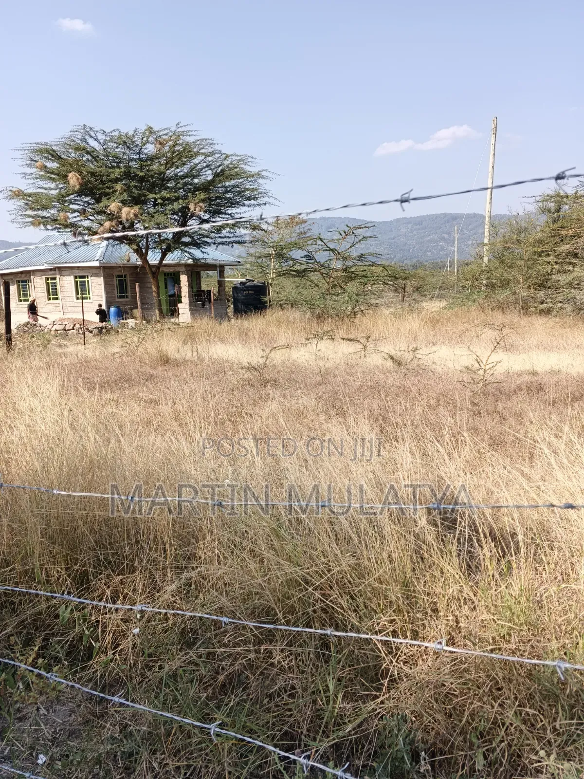 Plot for Sell in Junction
