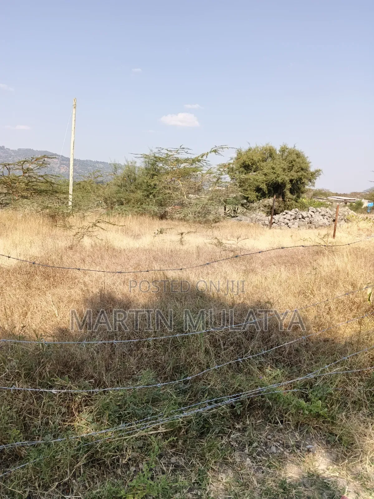Plot for Sell in Junction