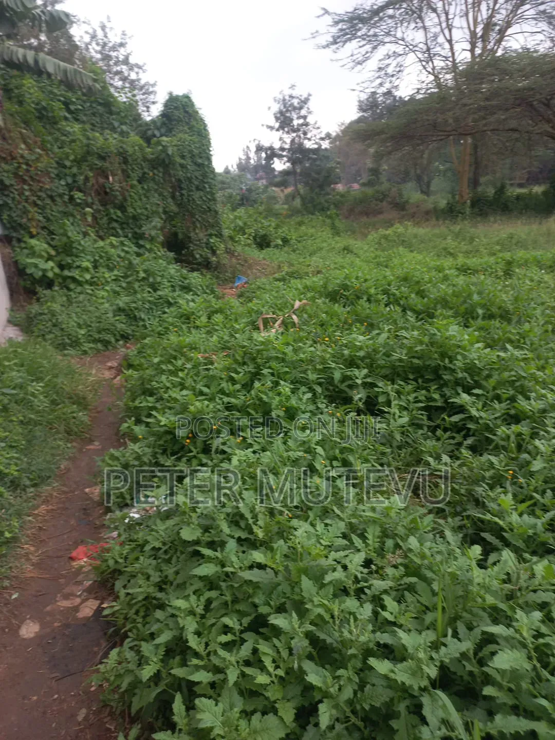 3 Pieces of Half Acre Land for Sale in Ngando