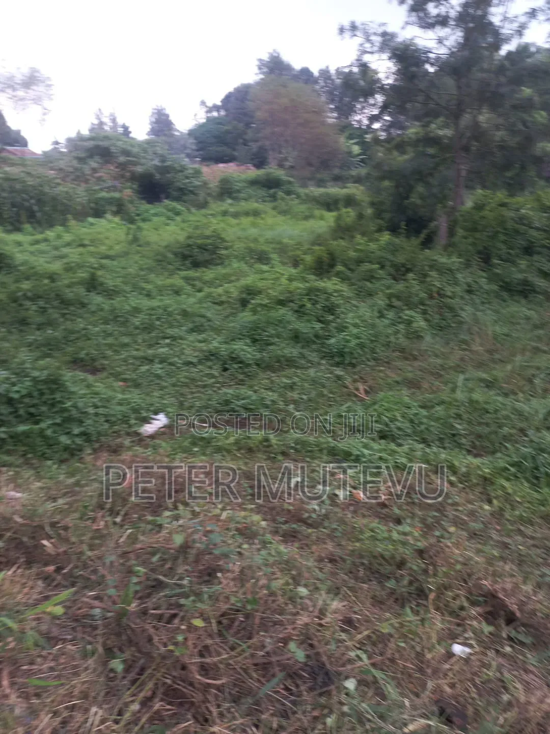 3 Pieces of Half Acre Land for Sale in Ngando