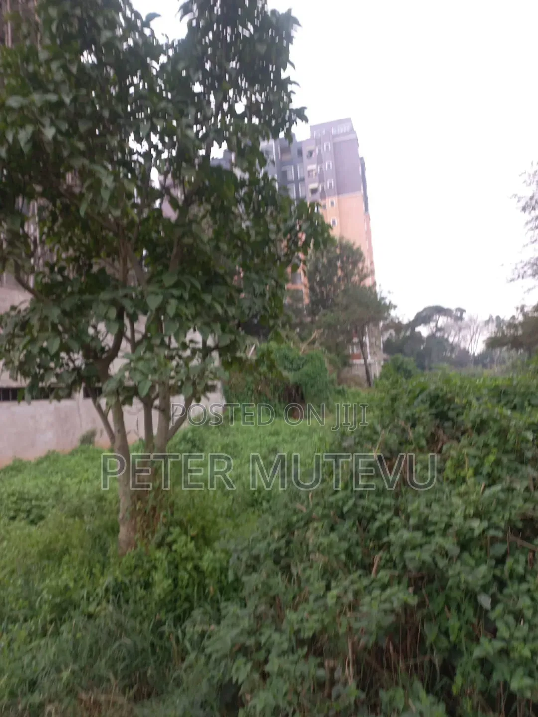 3 Pieces of Half Acre Land for Sale in Ngando