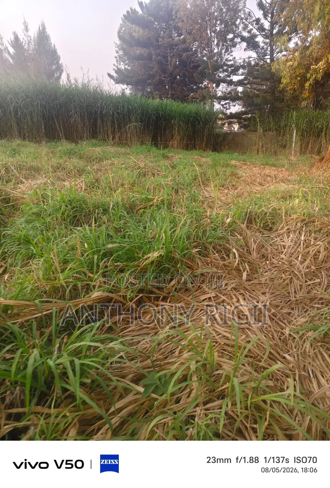 Prime 100×100 Residential / Commercial Land for Sale – Kikuyu Town in Thogoto