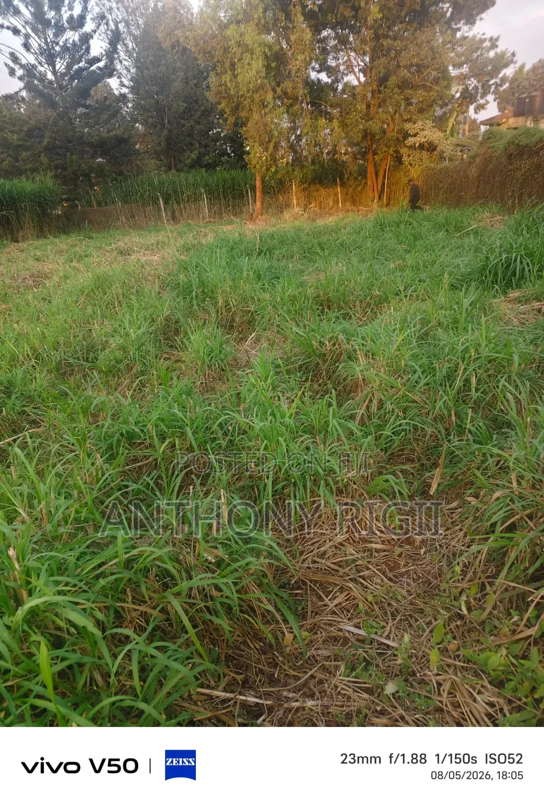 Prime 100×100 Residential / Commercial Land for Sale – Kikuyu Town in Thogoto