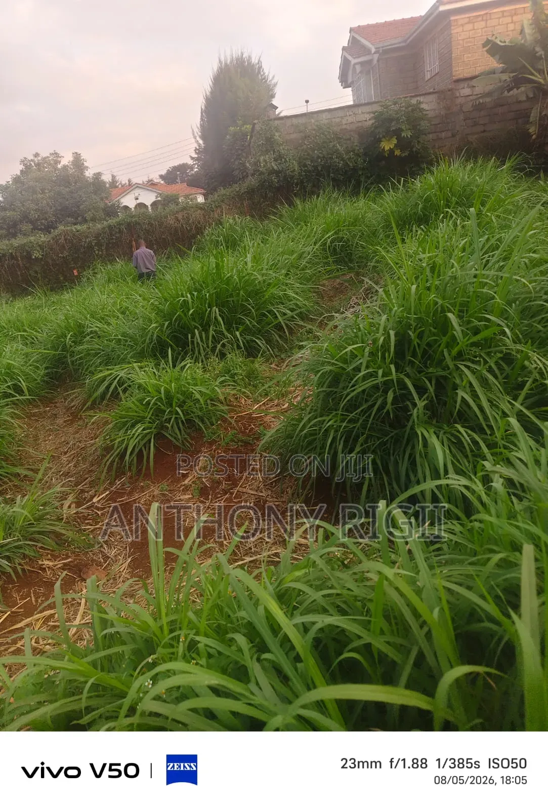 Prime 100×100 Residential / Commercial Land for Sale – Kikuyu Town in Thogoto
