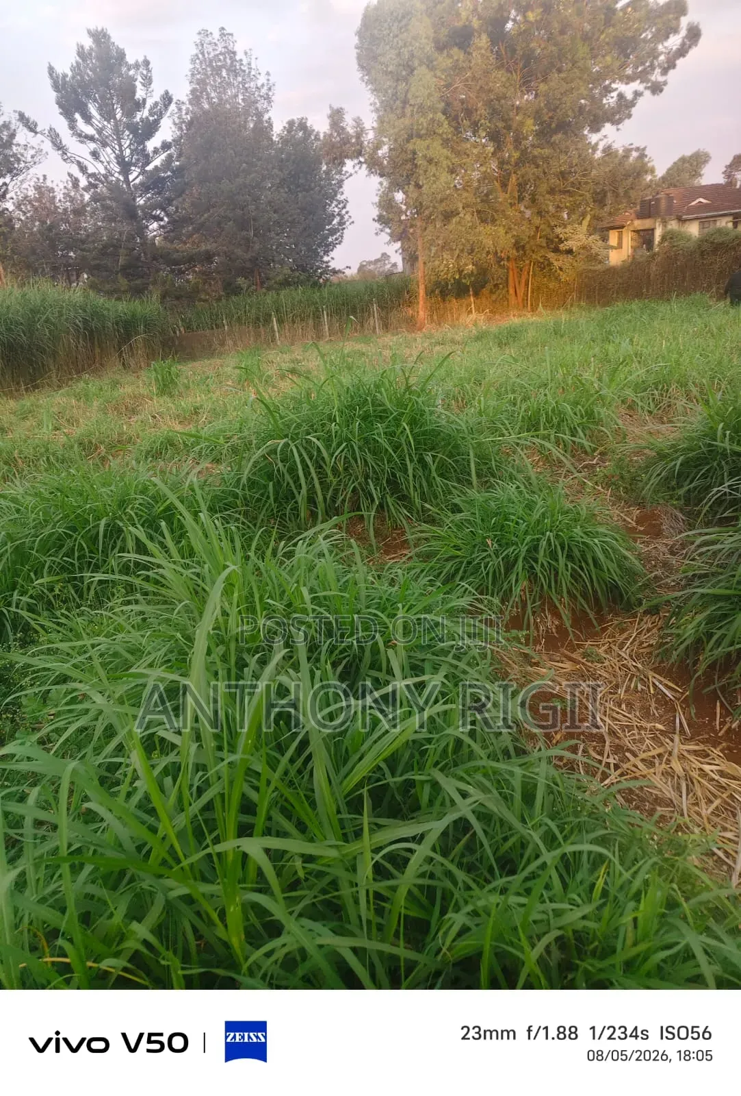 Prime 100×100 Residential / Commercial Land for Sale – Kikuyu Town in Thogoto