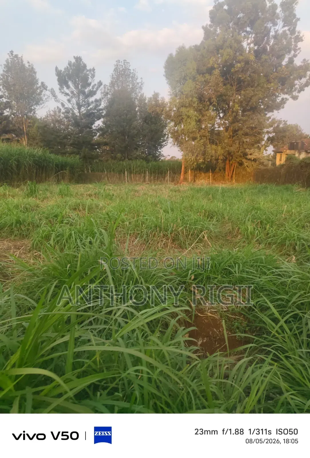 Prime 100×100 Residential / Commercial Land for Sale – Kikuyu Town in Thogoto