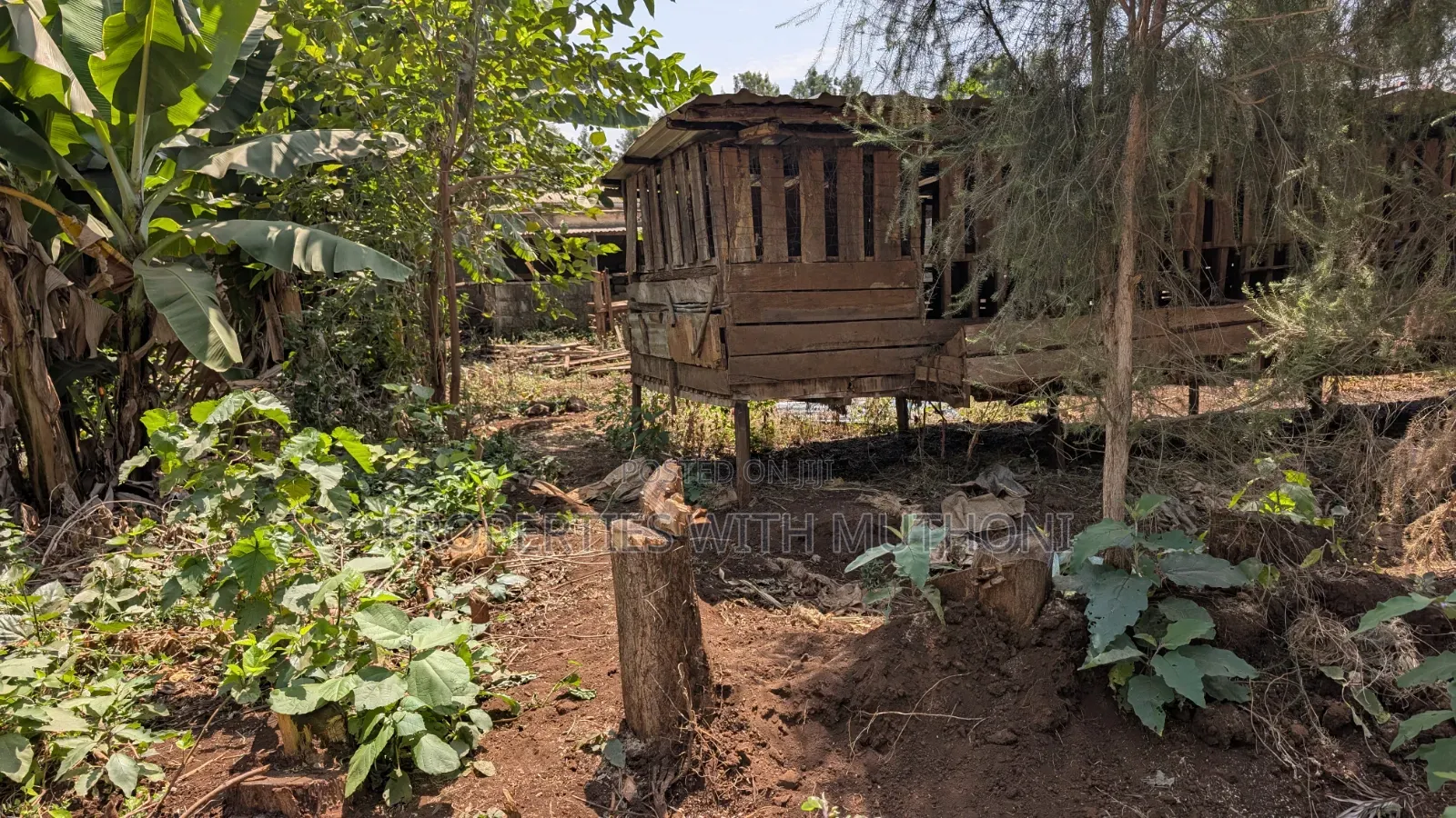 1/2 Acre With a House for Sale in Gatuto, Kirinyaga County. in Kangai