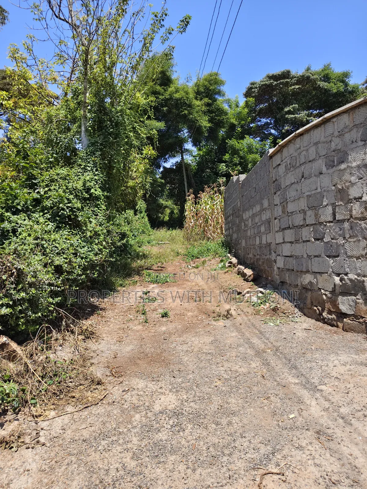 100×100 Plots for Sale in Matasia, Ngong. in Matasia
