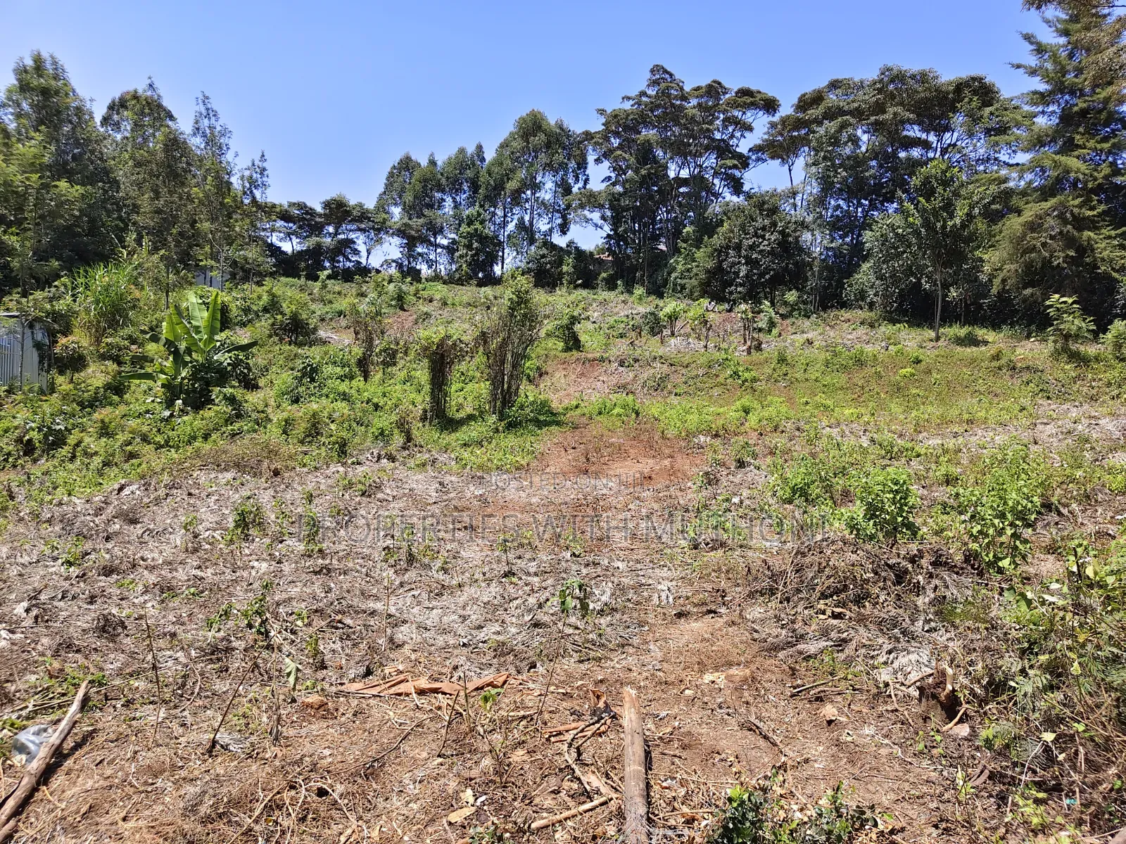 100×100 Plots for Sale in Matasia, Ngong. in Matasia