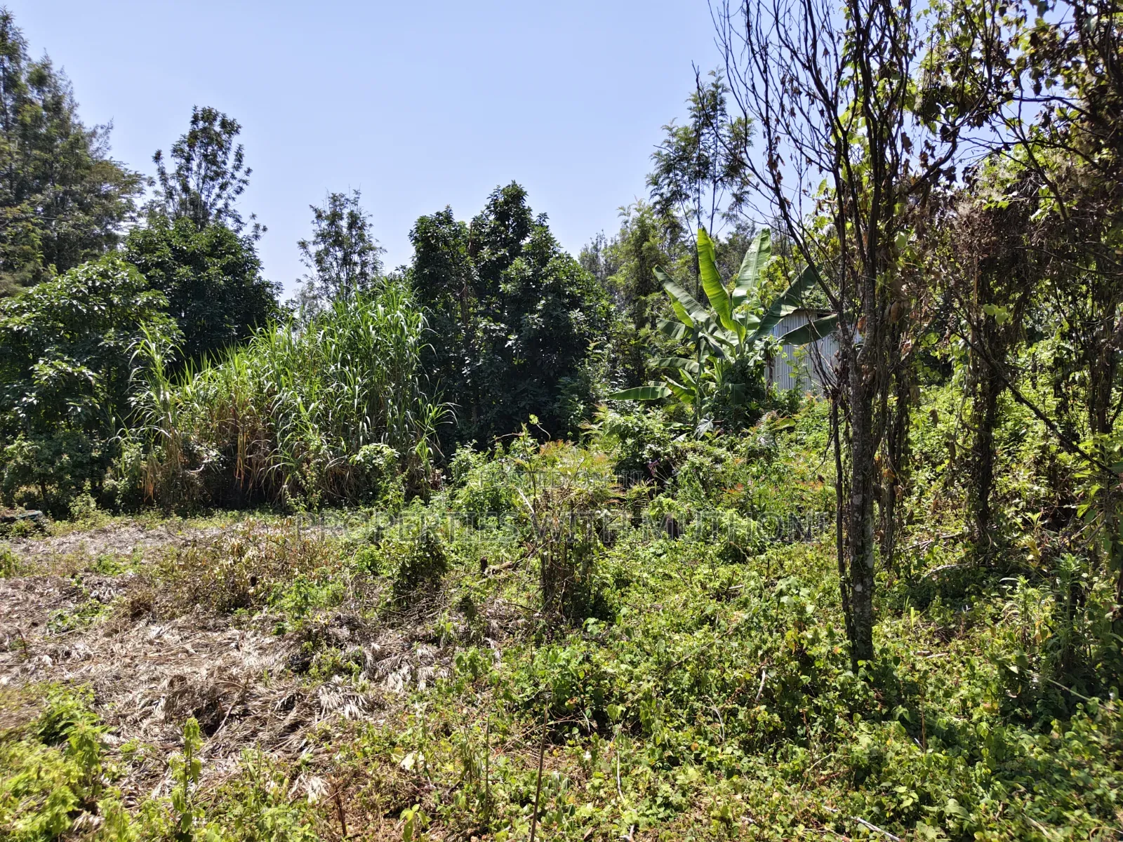 100×100 Plots for Sale in Matasia, Ngong. in Matasia