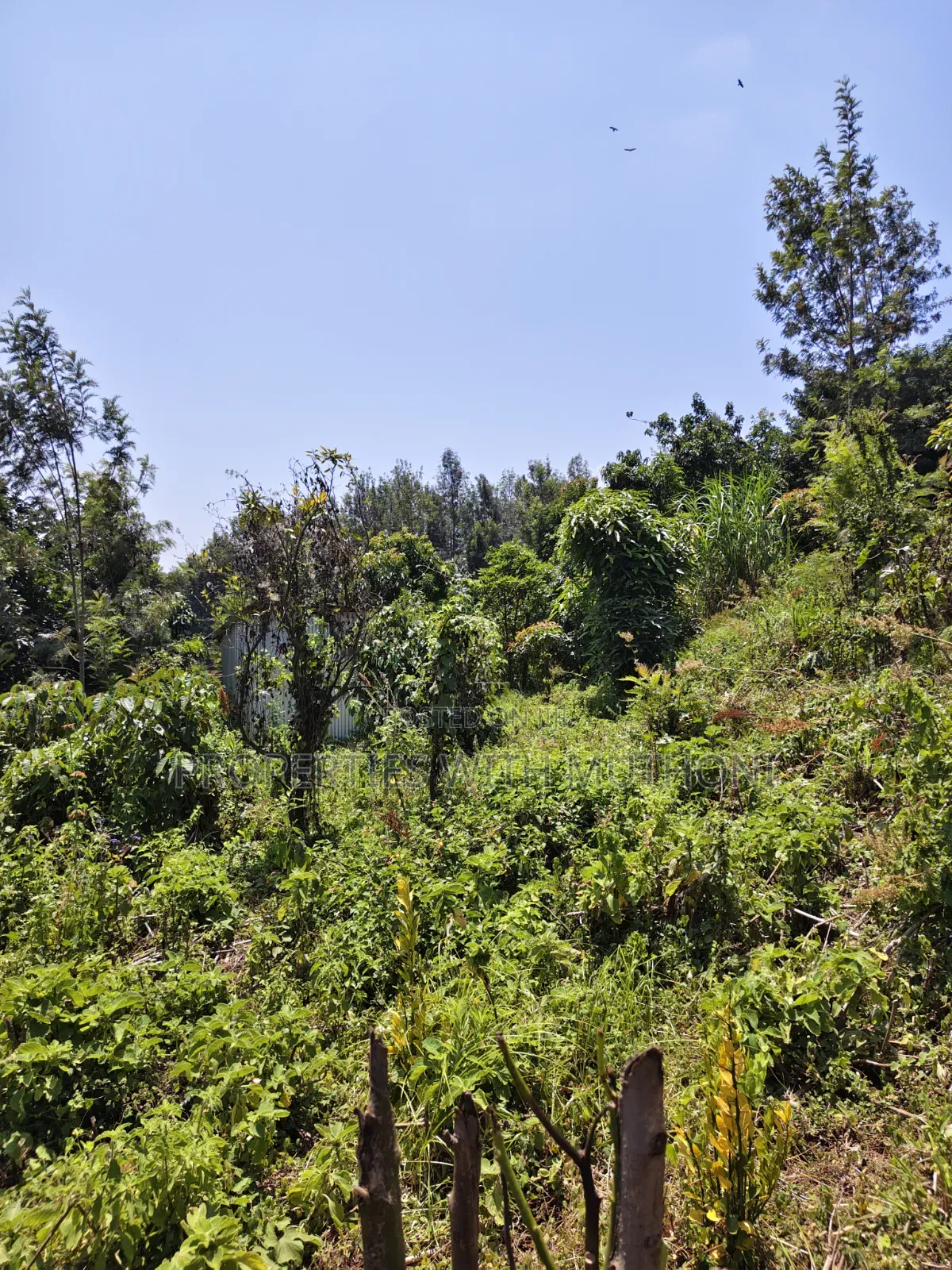 100×100 Plots for Sale in Matasia, Ngong. in Matasia