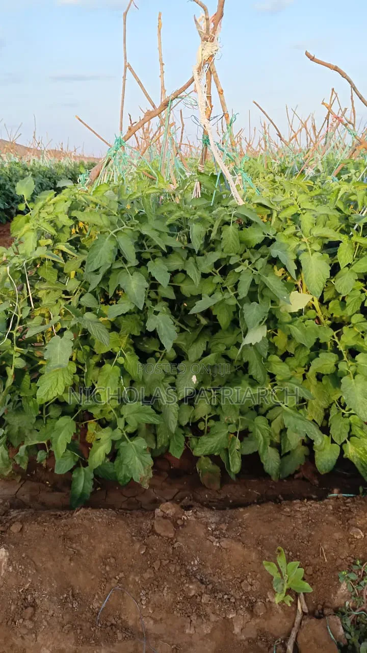 45 Acres Farm Kiboko -Mombasa Road Selling at 92m in Emali/Mulala