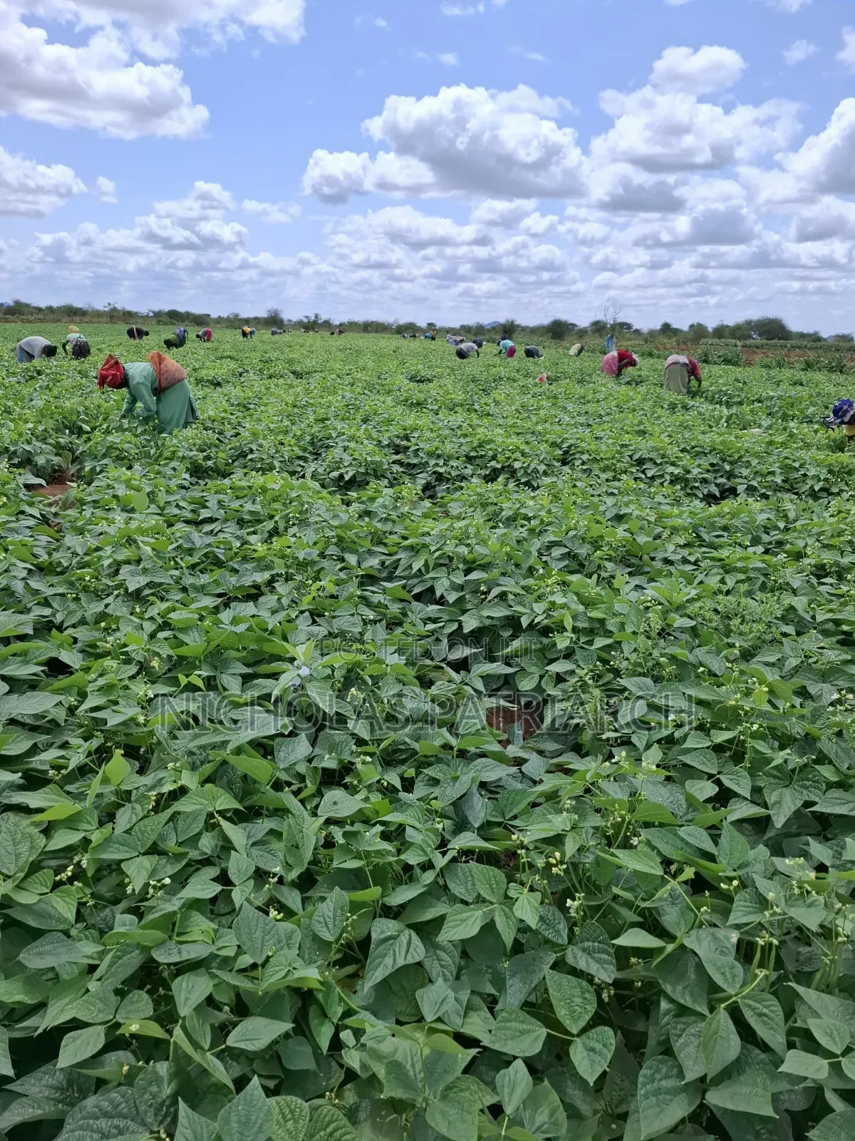 45 Acres Farm Kiboko -Mombasa Road Selling at 92m in Emali/Mulala