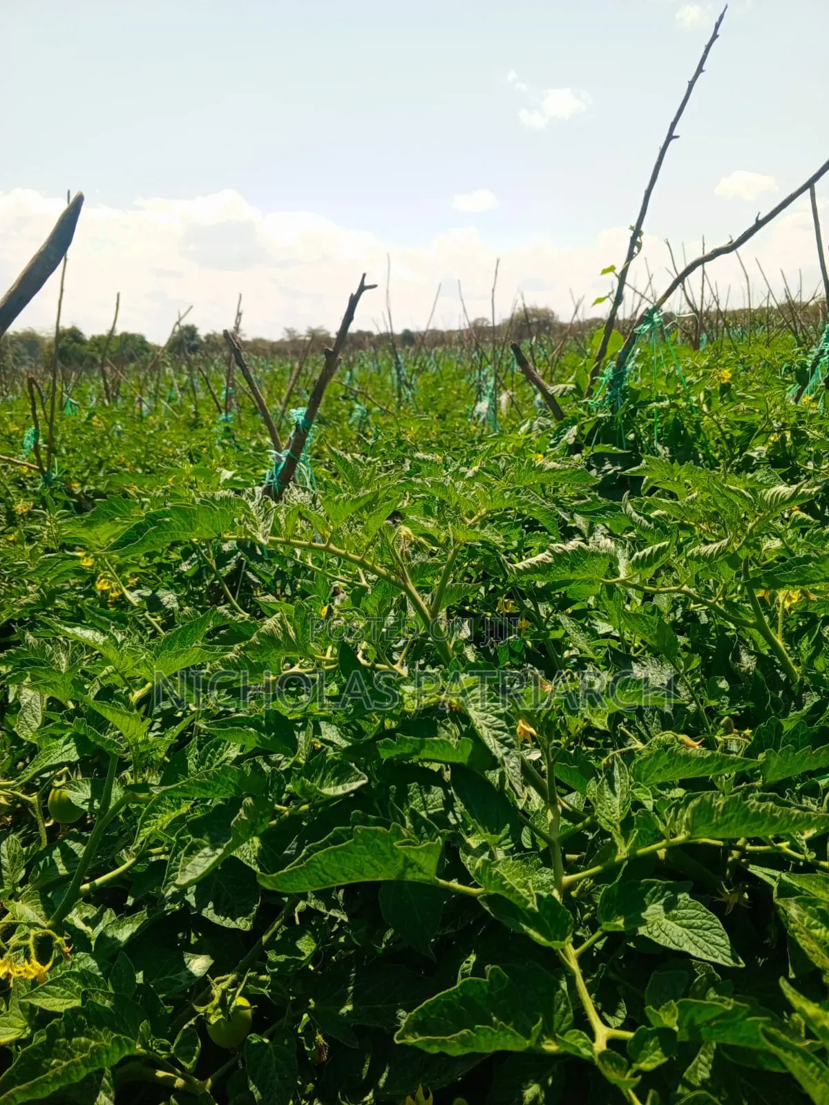 45 Acres Farm Kiboko -Mombasa Road Selling at 92m in Emali/Mulala