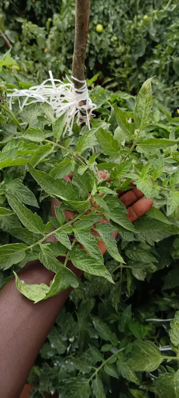 45 Acres Farm Kiboko -Mombasa Road Selling at 92m in Emali/Mulala